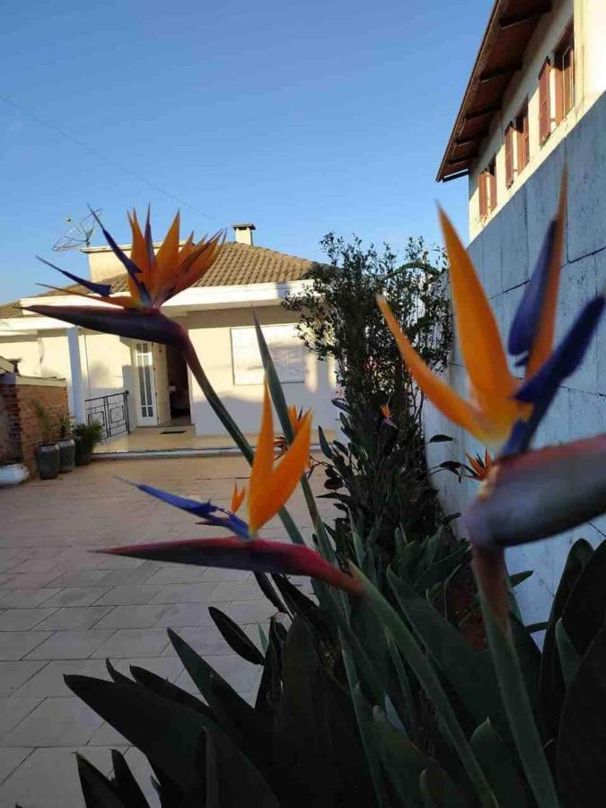 Casa Em Bairro Nobre, Bem Localizada, Com Suite. Bento Gonçalves Eksteriør billede